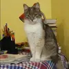 Отзыв от Алла Макеева